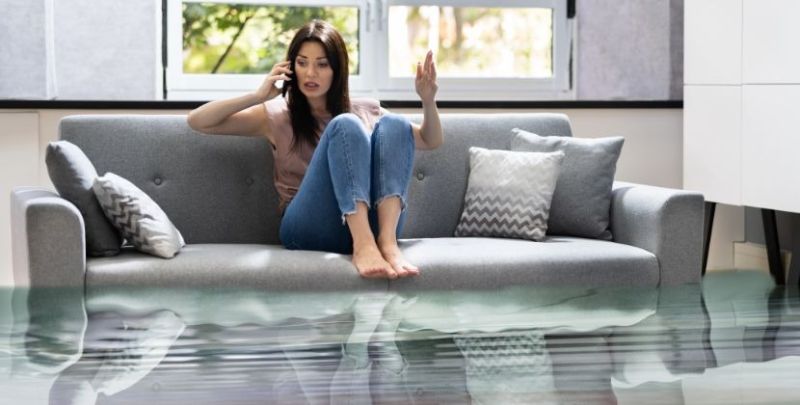 Expert Rooter Solutions for Urgent Drain Issues