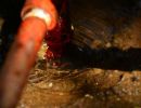 Full-Spectrum Emergency Plumber: Ready for Any Challenge